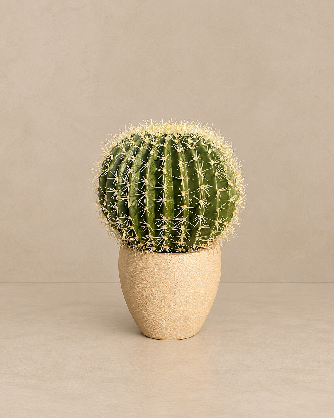 Barrel Cactus